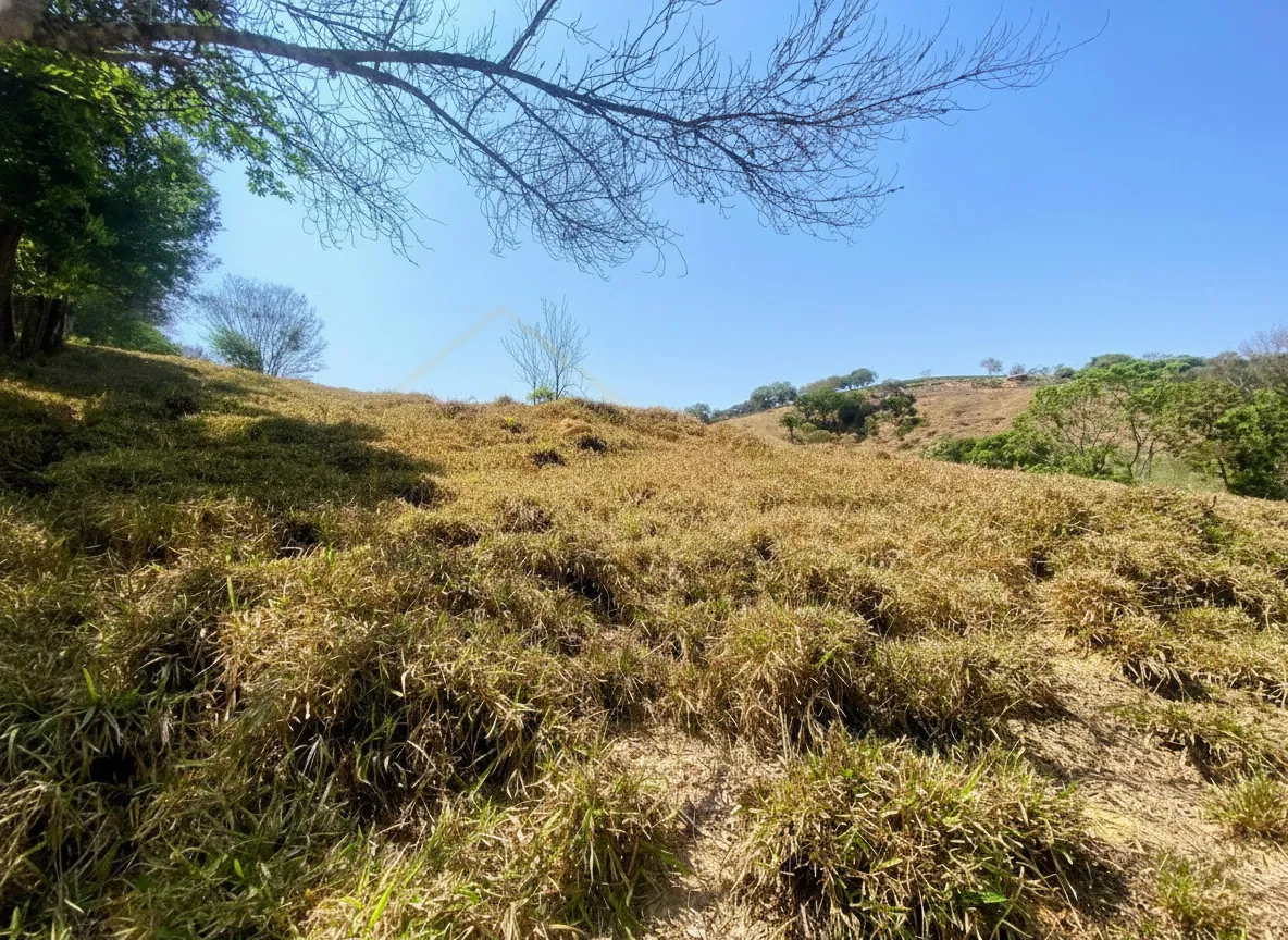 Imagem Sítio 2,42 ha à venda em Correias, Bandeira do Sul