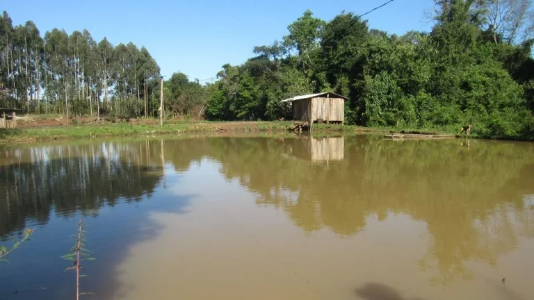 Imagem Casa para Venda em Lindóia do Sul, Centro, 1 dormitório, 1 banheiro