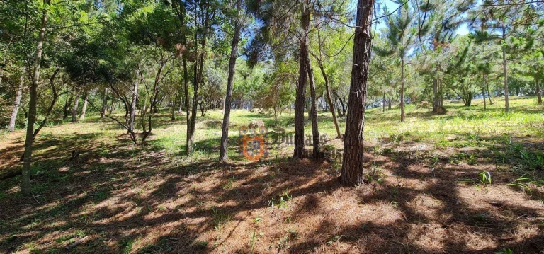 Imagem Terreno à venda, 20000 m² por R$ 1.490.000 - Pinheirinho - Atibaia/SP