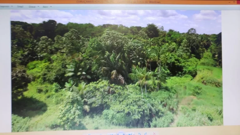 Imagem CASAL IMÓVEIS VENDE GRANDE ÁREA 72.000 M2