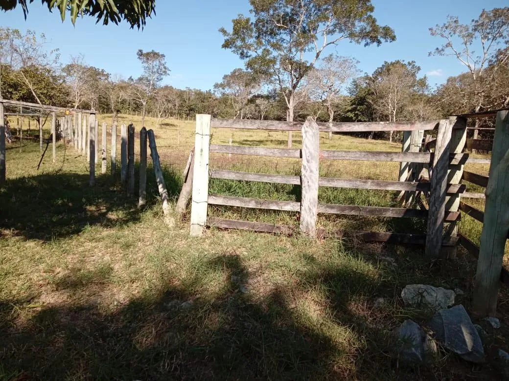 Imagem Vendo um excelente sítio na cidade de Piracema/Mg com 5 hectares de terra