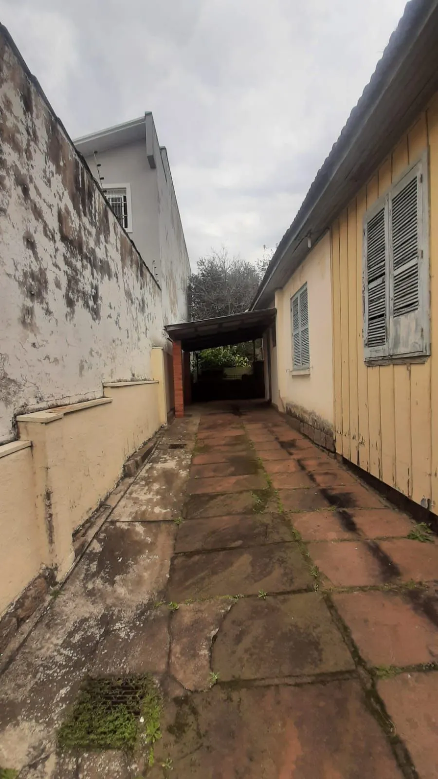 Imagem Terreno em Vila Ipiranga