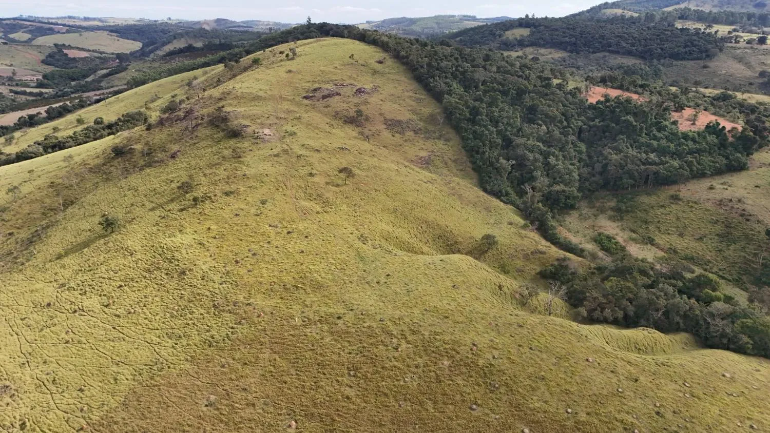 Imagem Fazenda à Venda em Belo Vale/MG ? 42 Hectares | R$ 2.800.000,00