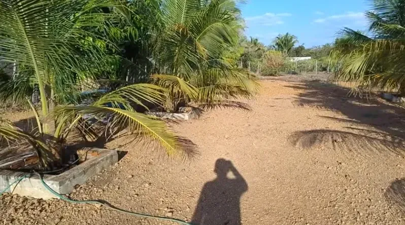 Imagem Terreno à Venda, 1000 m² em Esperantina - Esperantina