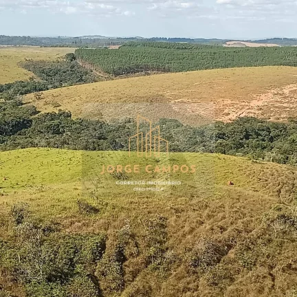 Imagem FA-24163 - FAZENDA À VENDA EM MINDURI/MG