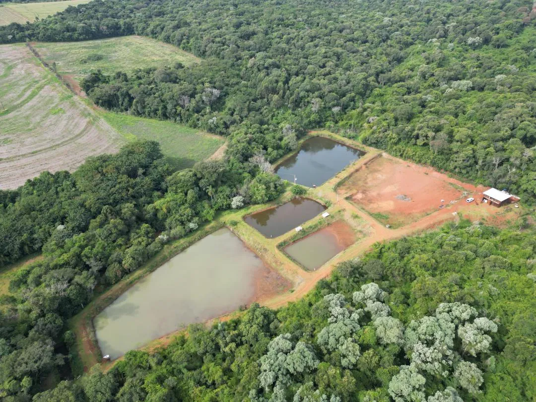 Imagem Chácara à venda em Cascavel, Centro - Casa de caseiro, Rio e Lago para pesca