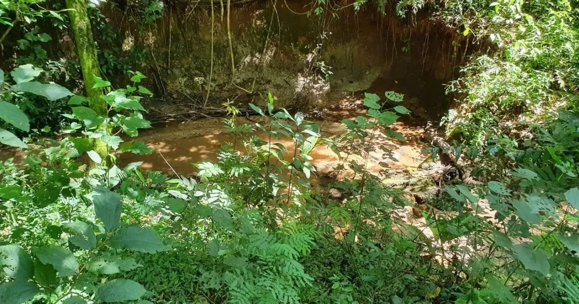 Imagem Sítio com 36.000 m² Natureza com conforto e linda vista? Itapeva/SP