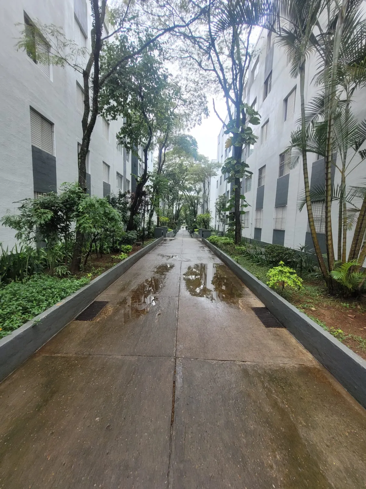 Imagem Apartamento para venda em Vila São Francisco com 2 quartos, 67m2