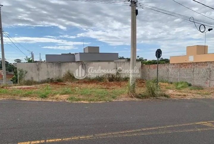 Foto do imóvel Terreno à venda, 250 m² por R$ 90.000 - Avenida Parque em Bady Bassitt, Bady Bassitt - SP