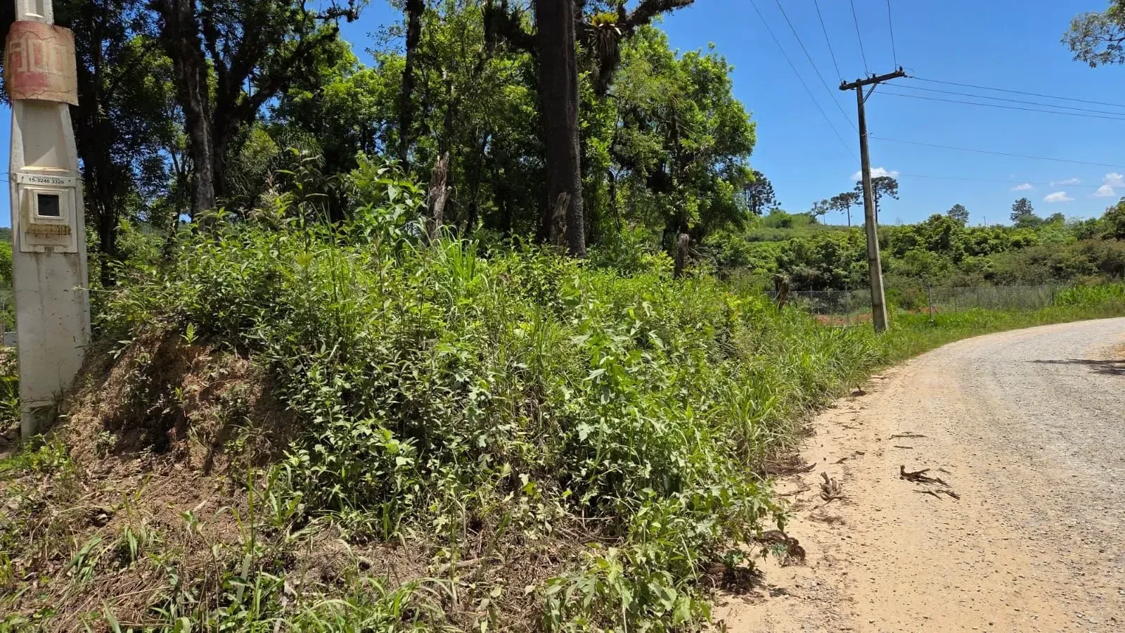 Imagem Terreno à Venda, 1000 metros em Verava - Ibiúna