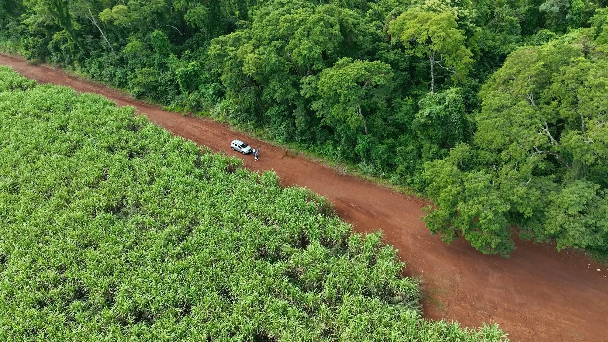 Imagem Fazenda à Venda, 232 HA em Zona Rural - Franca
