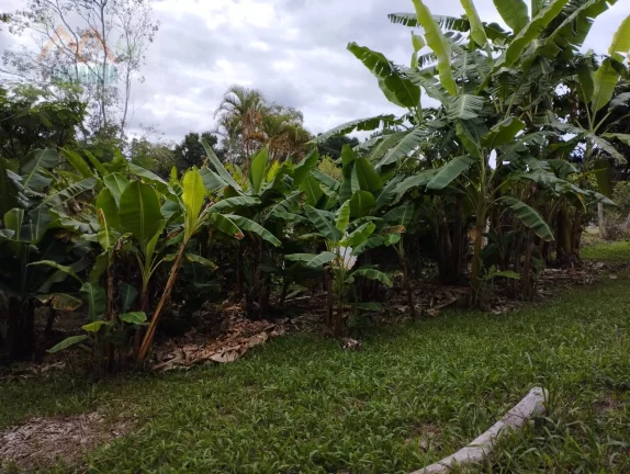 Imagem TERRENO CANANÉIA