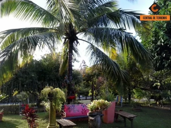 Imagem SITIO EM BARRA DE POJUCA