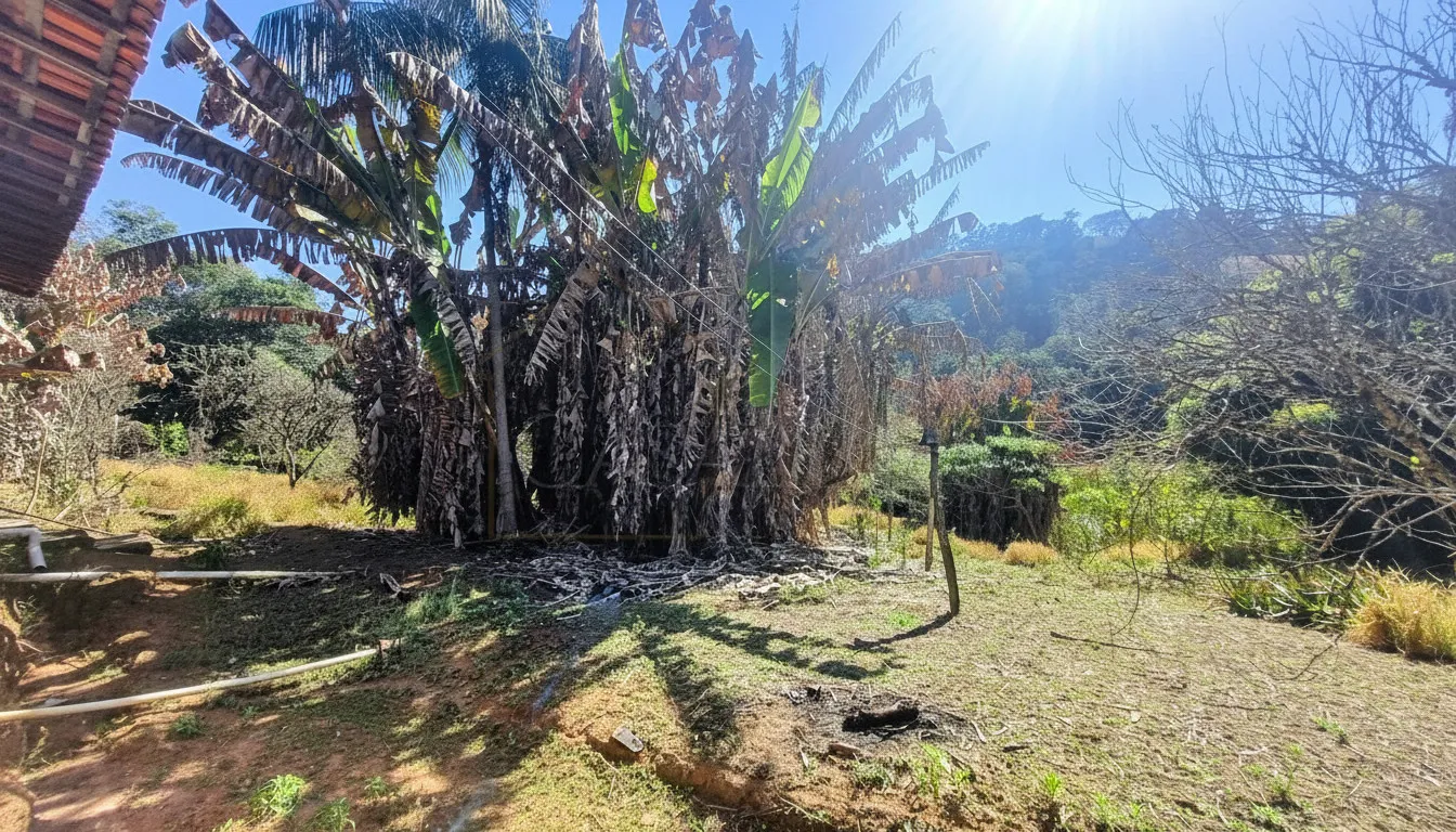 Imagem Chácara 40 m² à venda em Correias, Bandeira do Sul