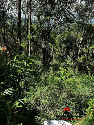 Imagem Terreno a Venda na Região da Cidade do Sol em Campos do Jordão -SP.