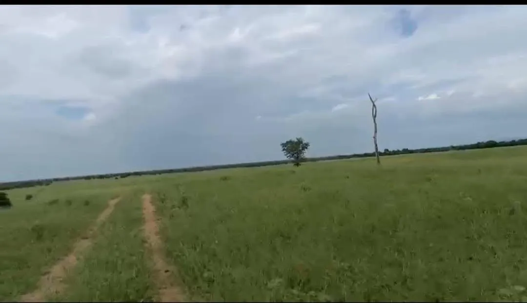 Imagem Vendo excelente fazenda em Jaíba/MG ?área total de 3.150 hectares