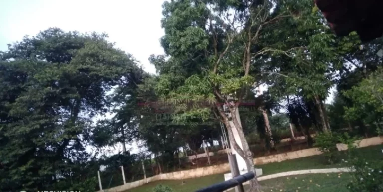 Imagem Chácara formada com muito verde