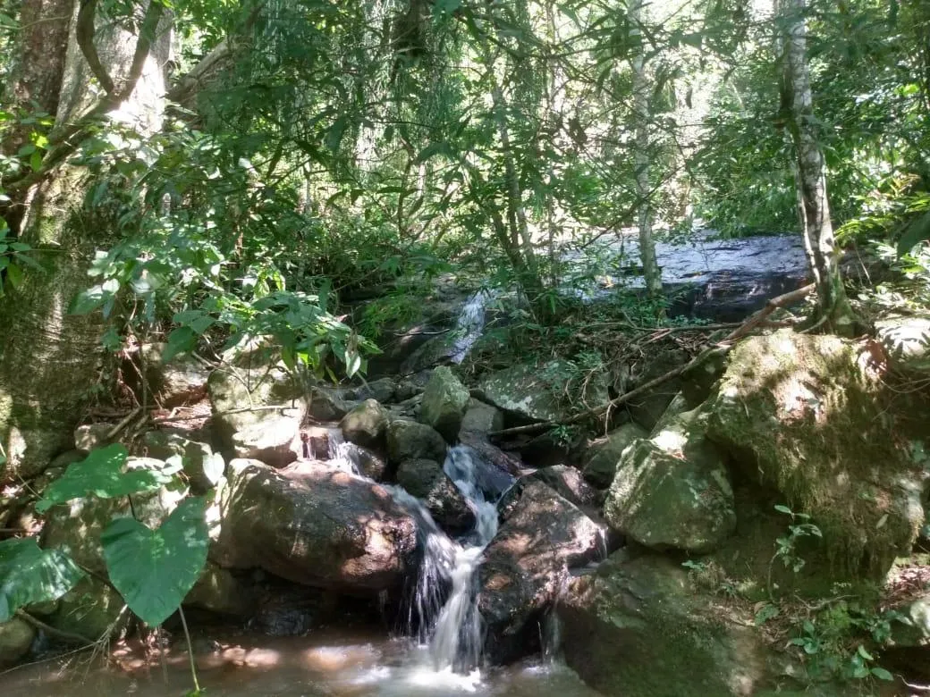 Imagem Chácara para venda, bairro Voluntário Baixo em Igrejinha/RS.