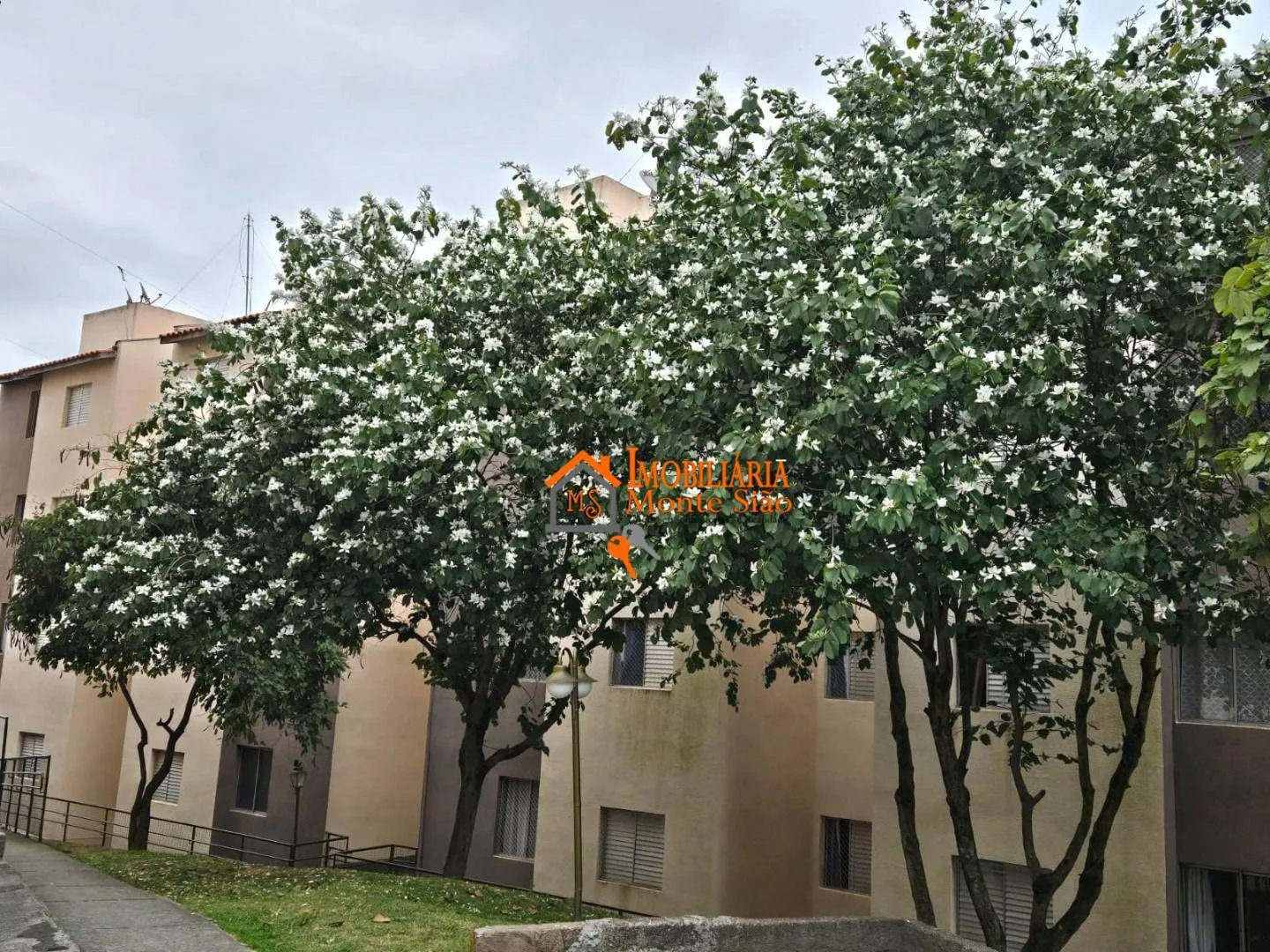 Imagem Apartamento com 2 dormitórios, 44 m² - venda por R$ 214.999,00 ou aluguel por R$ 1.340,00/mês - Jardim São Luis - Guarulhos/SP