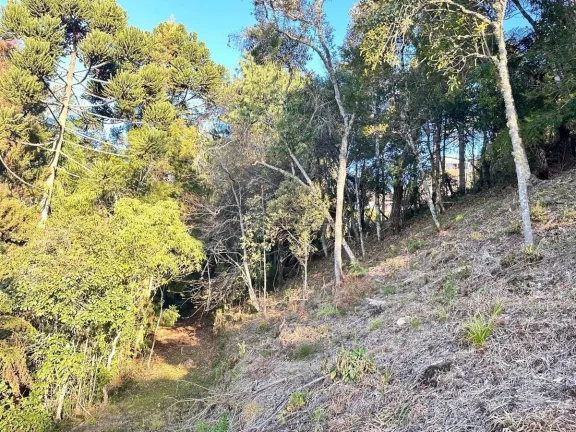 Imagem Lote Exclusivo com Vista Panorâmica