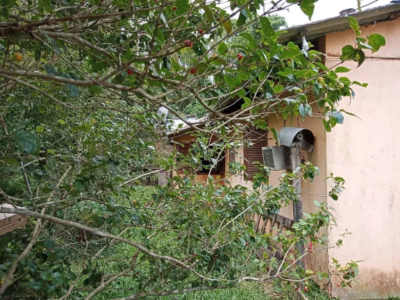 Imagem Sítio Rural com 3.6 hectares, açude, localizado no Capão da porteira