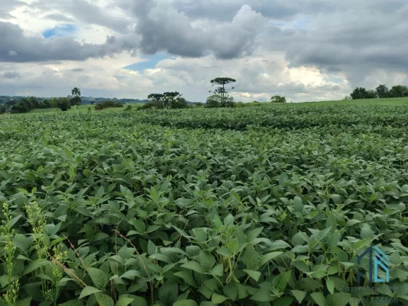 Imagem Terreno com 9,2 Alqueires, área verde ideal para plantio ou construção, em Campo Largo PR