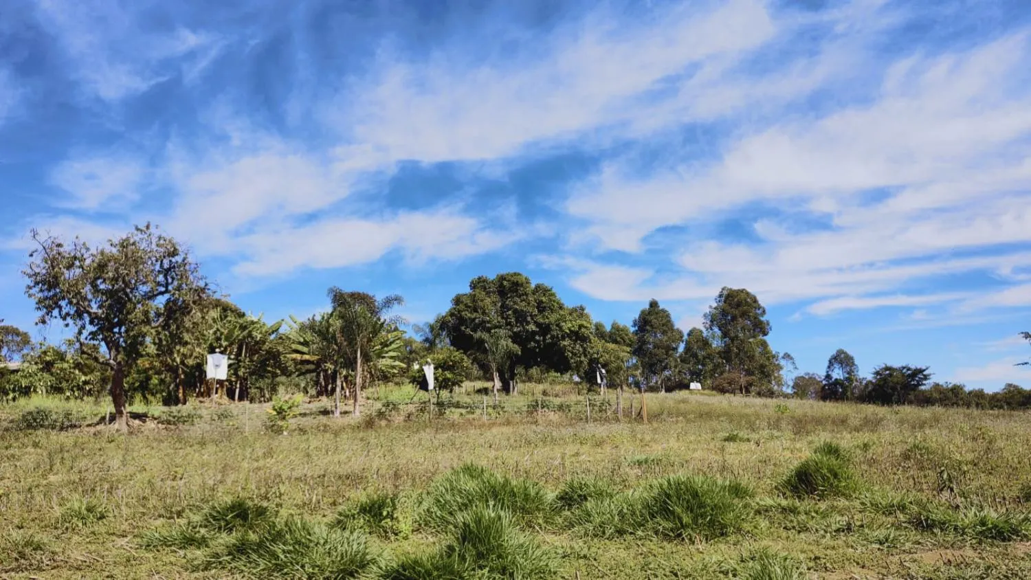Imagem Excelente Terreno à Venda em Desterro de Entre Rios: 15 Hectares Totalmente Plano