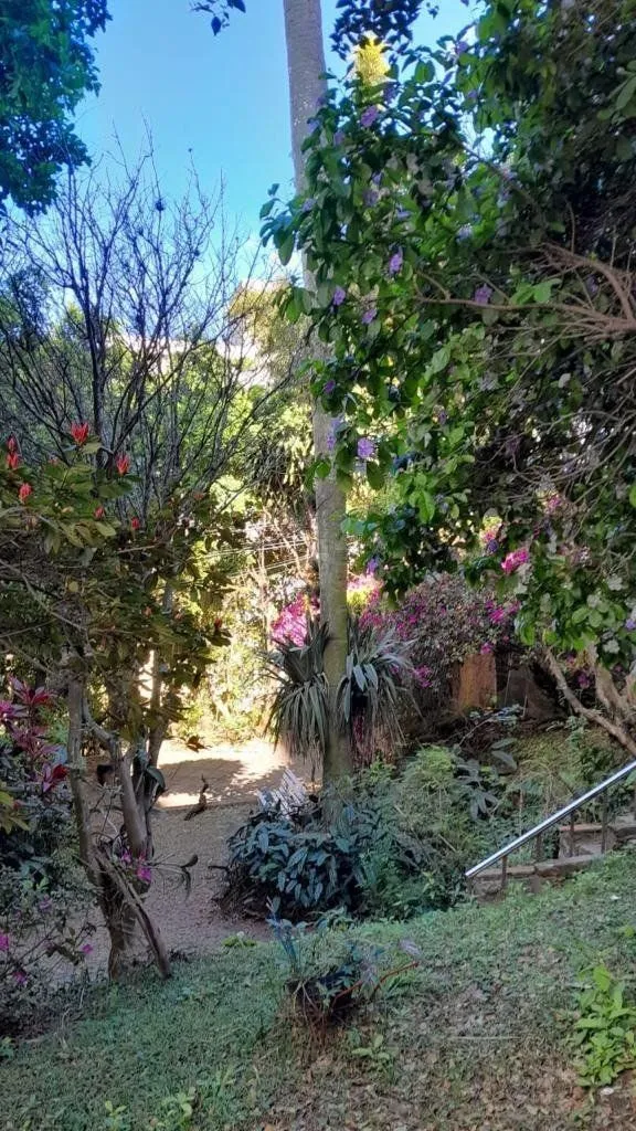 Imagem Terreno para Comprar na Santa Cecília no bairro Rio Branco.