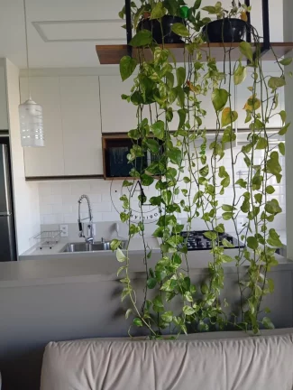 Imagem Apartamento Completo com 2 Quartos, em Condomínio com Piscina e Churrasqueira