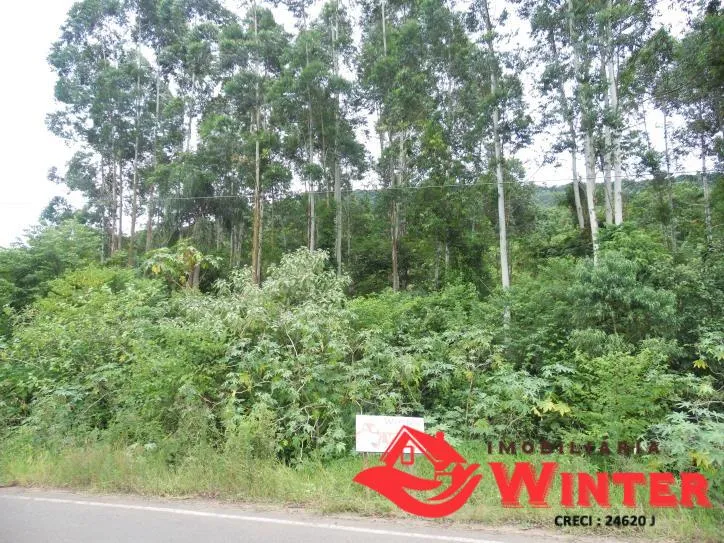 Imagem Área de terra com 7.884,70m² no São Roque/ Feliz.