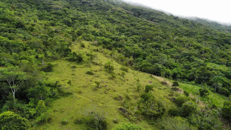 Imagem Terreno à Venda com Vista para o Mar e Lagoa do Macacu - 9,3 Hectares em Garopaba-SC!