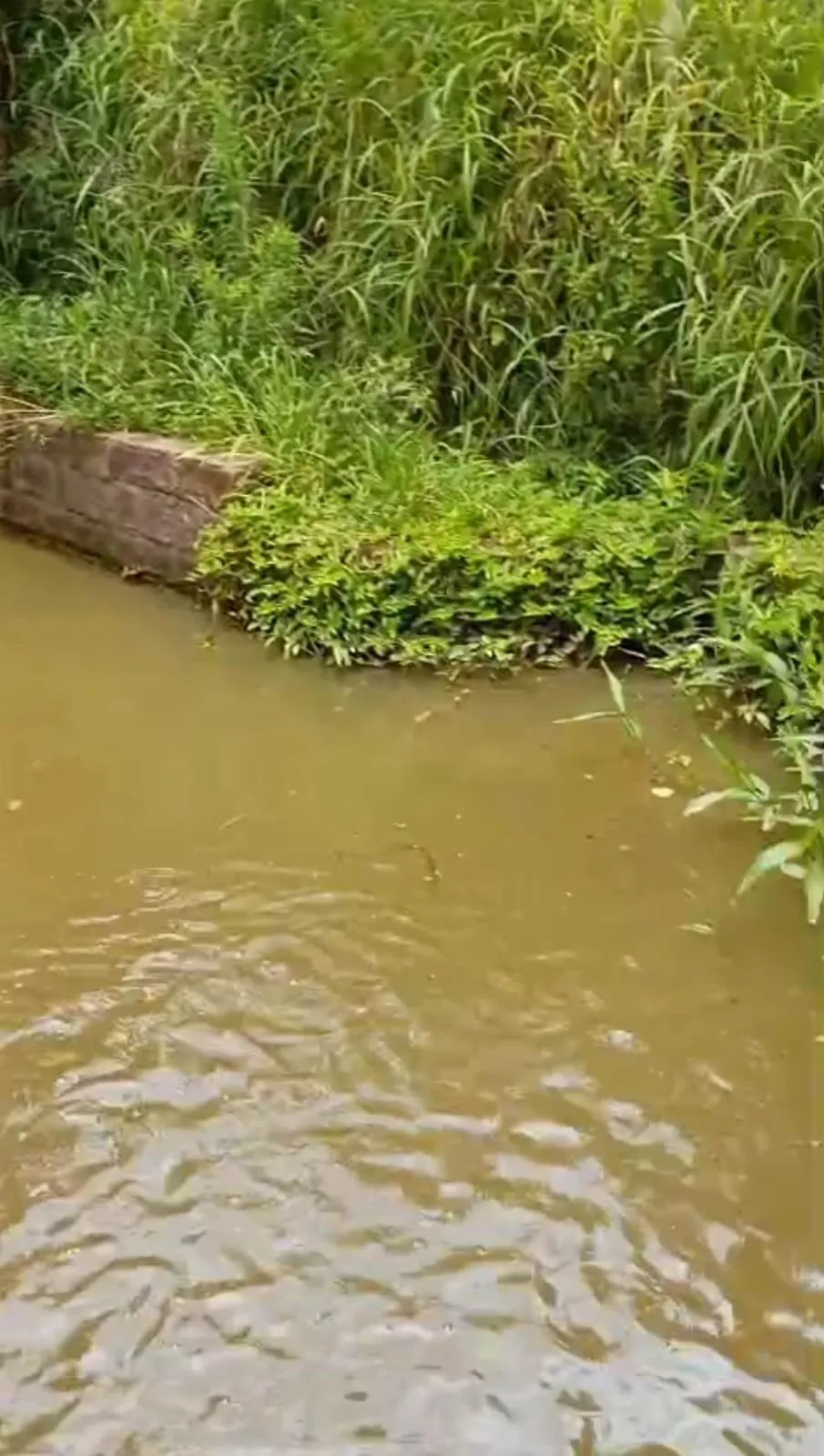 Imagem Terreno à venda em Viamão bairro São Lucas