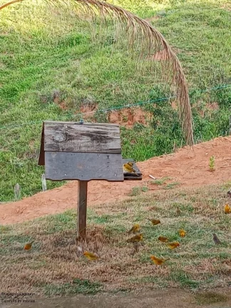 Imagem CHACARA RURAL em CALDAS - MG, Zona Rural