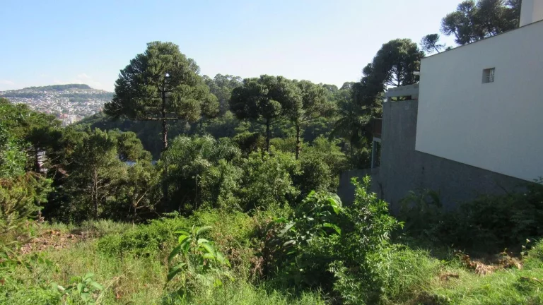 Imagem Terreno para Venda em Concórdia, Jardim