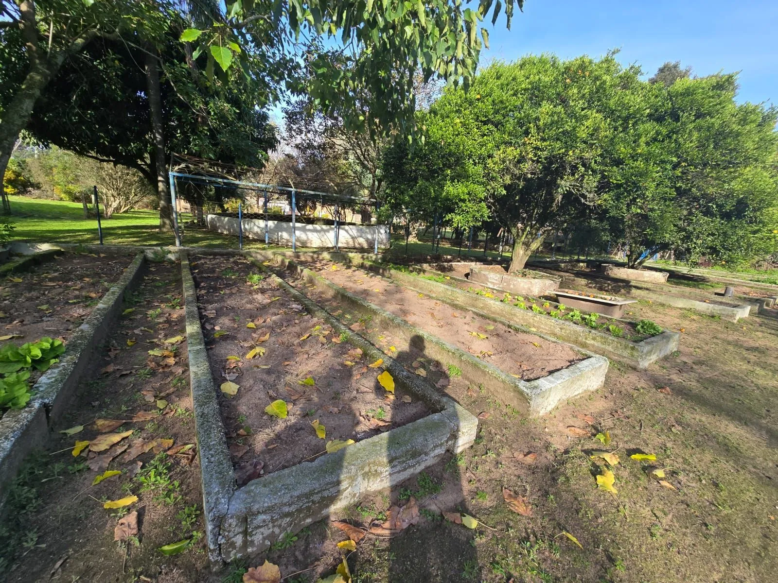 Imagem Sitio na Restinga com 2 casas e ótima oportunidade para investimento