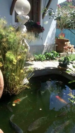 Imagem Casa de Condomínio com 4 Quartos à Venda, 200 m² em Vargem Grande - Teresópolis