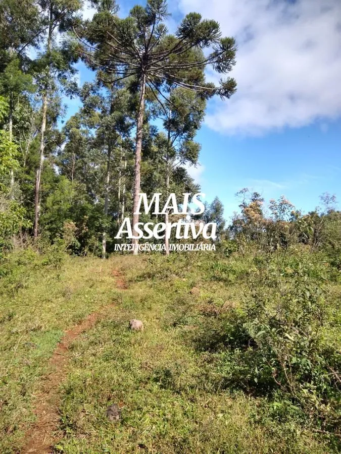 Imagem Chácara para Venda em Sapiranga / RS no bairro Bela-hú