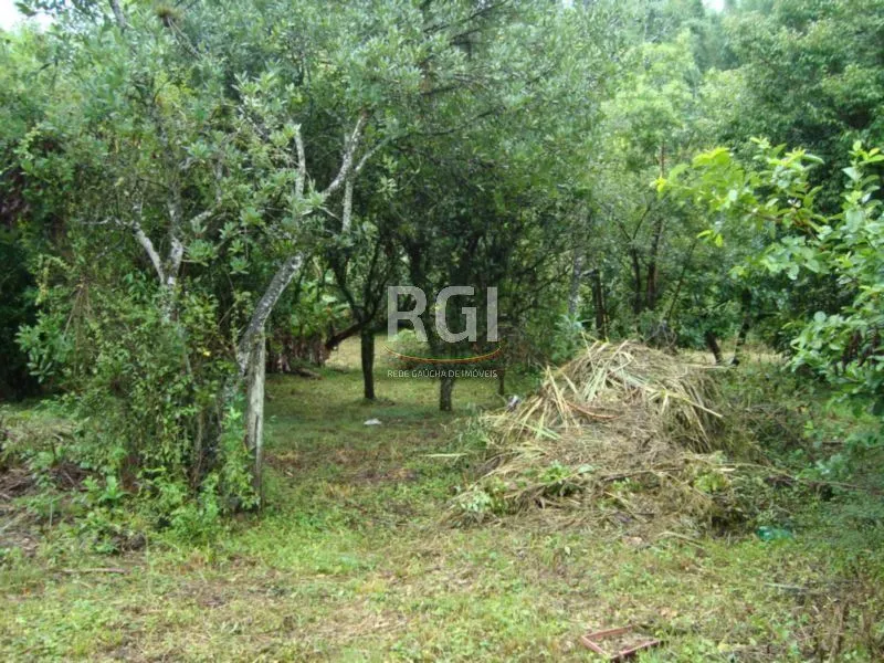 Imagem Terreno para Venda - 850m², 0 dormitórios, Centro