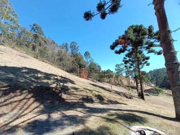 Imagem Sítio com 5 dormitórios à venda, 126000 m² por R$ 2.750.000,00 - Bom Jardim - Camanducaia/MG