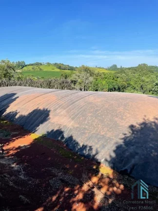 Imagem Sítio lindo a venda em ótima localização linha União da Serra em Guaraniaçu - PR