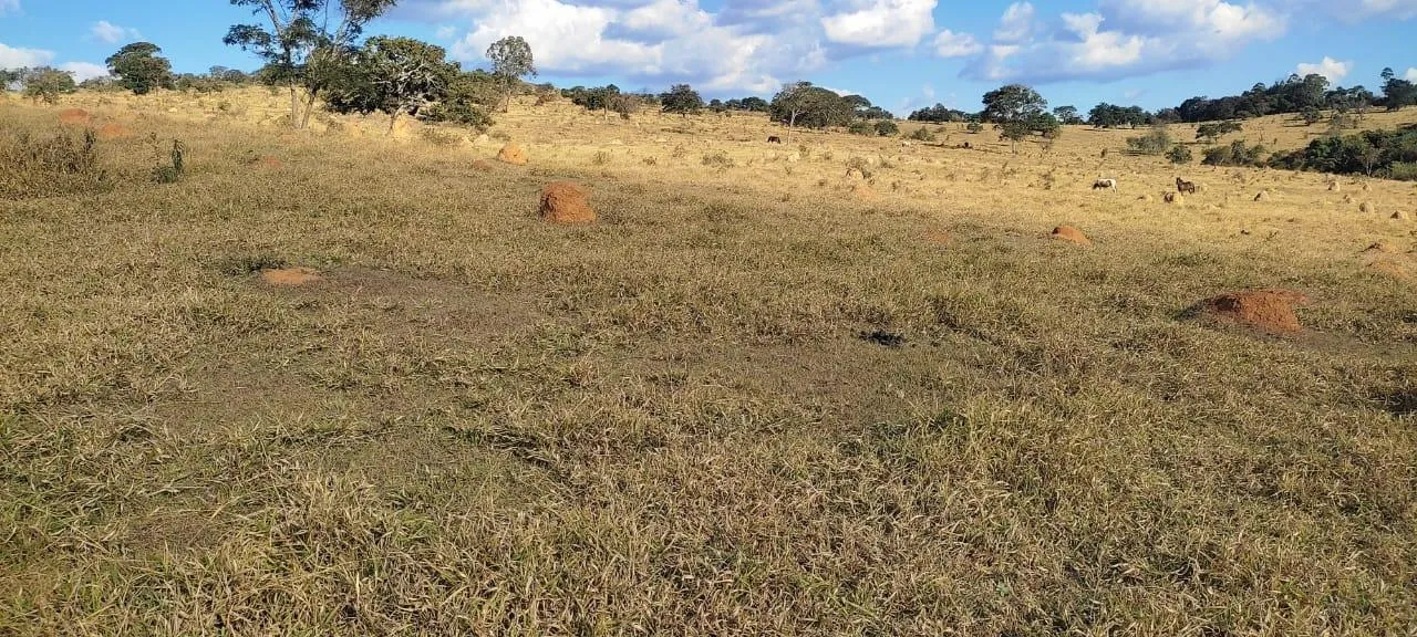 Imagem Vendo uma excelente fazenda na região de Itaúna/MG 212 hectares de terra