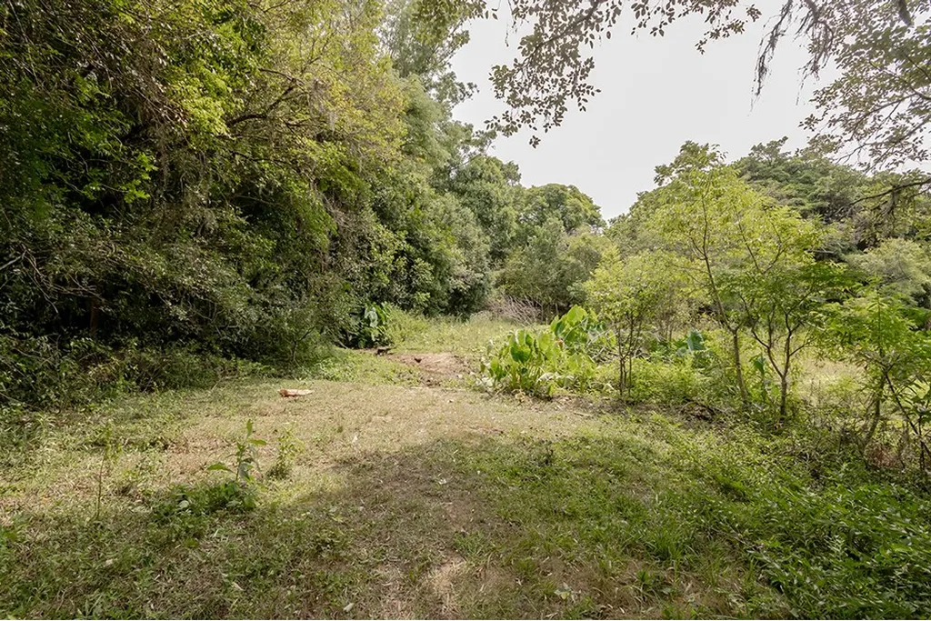Imagem Terreno em Belém Velho