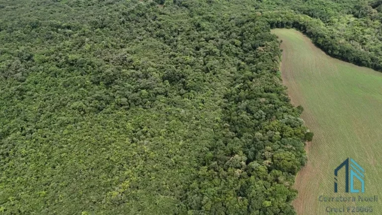 Imagem Área com 10 alqueires divisa com Rio Verde em Campo Largo - PR