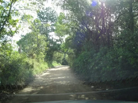 Imagem Área de 4 Hectares, Frente Estrada da Ambev, Lagoa, Águas Claras/ Viamão
