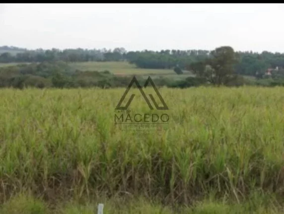 Imagem Área de 6.18 alqueires à Margem da Castello Branco - Cesário Lange/SP