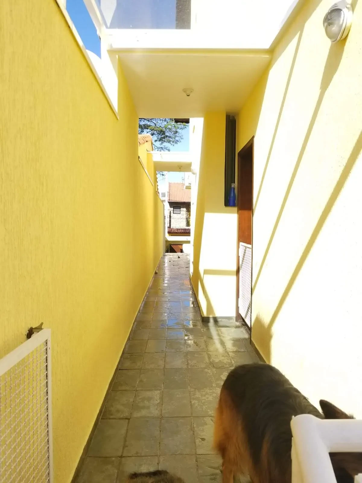 Imagem Sobrado com 3 Quartos à Venda, 202 m² em Vila Floresta - Santo André