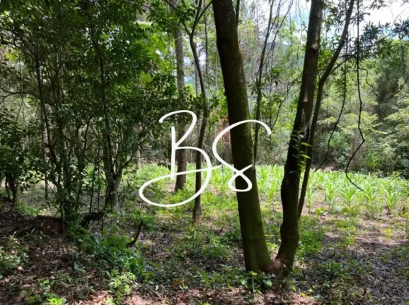 Imagem SITIO RURAL em TRÊS COROAS - RS, RS020