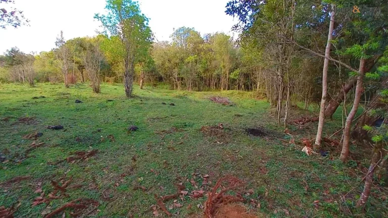 Imagem Chácara para Venda em Tijucas do Sul, Ambrósio