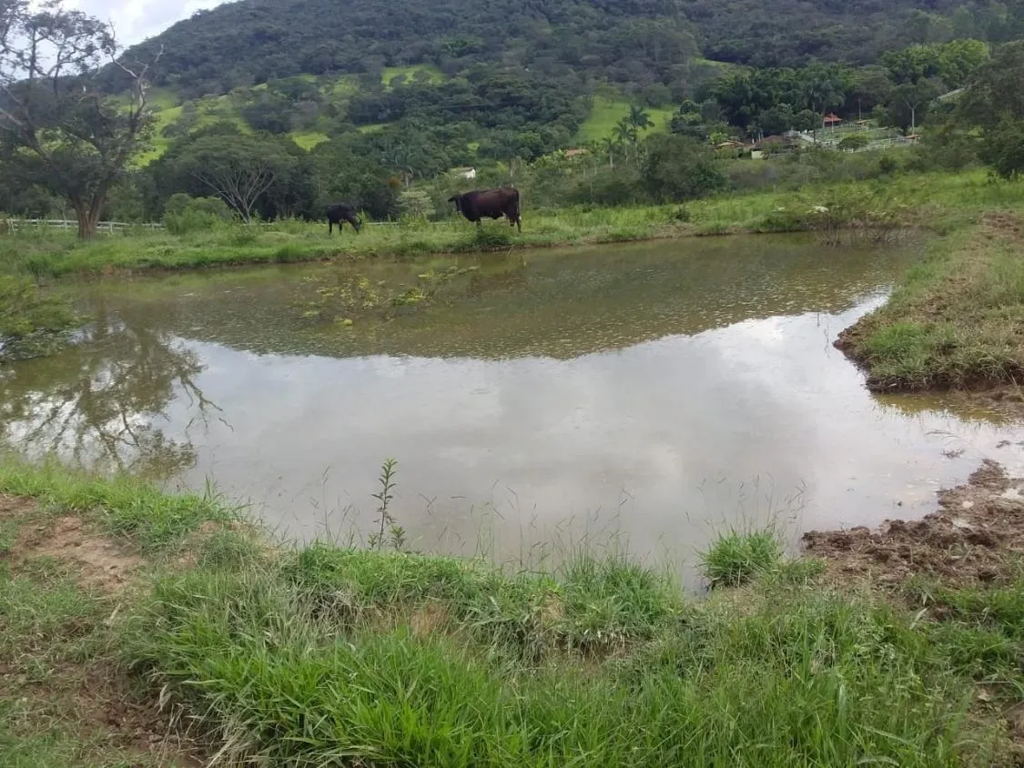 Imagem Terreno Espetacular à Venda em Carmópolis de Minas /MG 42 hectares de terra