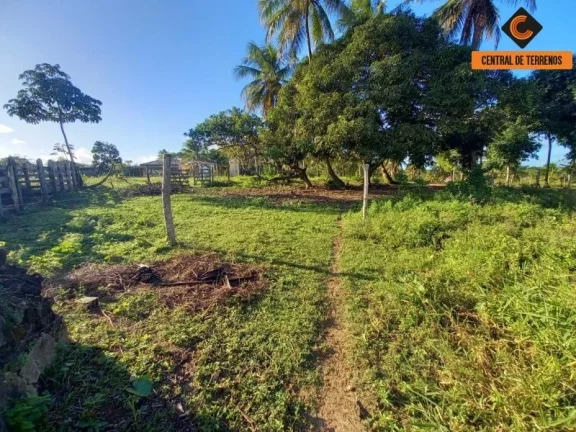 Imagem TERRENO EM BARRA DO JACUIPE ? CAMAÇARI